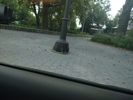 IMG 20250805 120753958